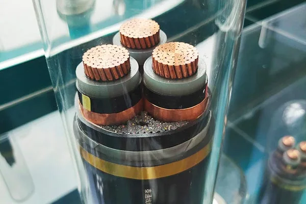 دعم الخدمة الشامل